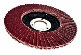 Круг лепестковый торцевой 125*22 KK16XW P40